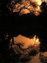 Sunset over the pond.
